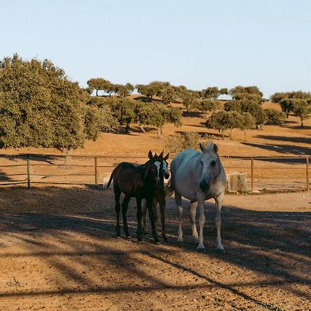Herdade Da Caniceira Ervedal Exterior photo
