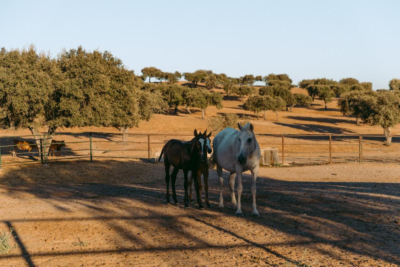 Herdade Da Caniceira Ervedal Exterior photo